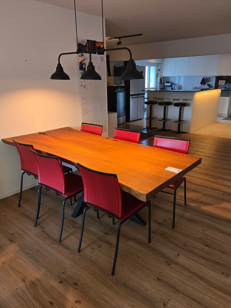 Social WG in newly renovated 141m² flat, 15min to HB / Limmat nearby (8)
