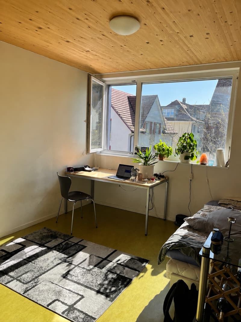 Room Available in a Friendly 6-Person Student WG (1)