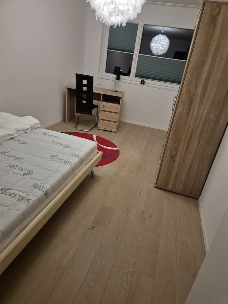 Flatmate wanted for a shared flat but immediately 1-2 months (1)