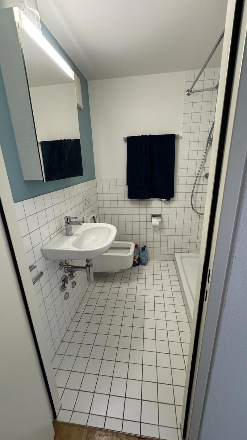 Unfurnished Bright 1-Room Apartment in the Heart of Basel (3)