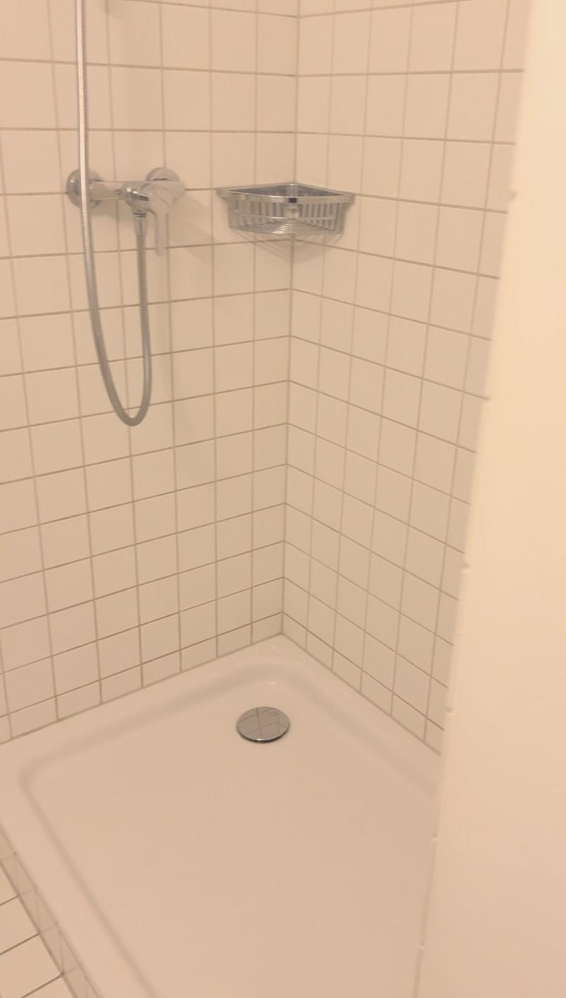 Unfurnished Bright 1-Room Apartment in the Heart of Basel (4)