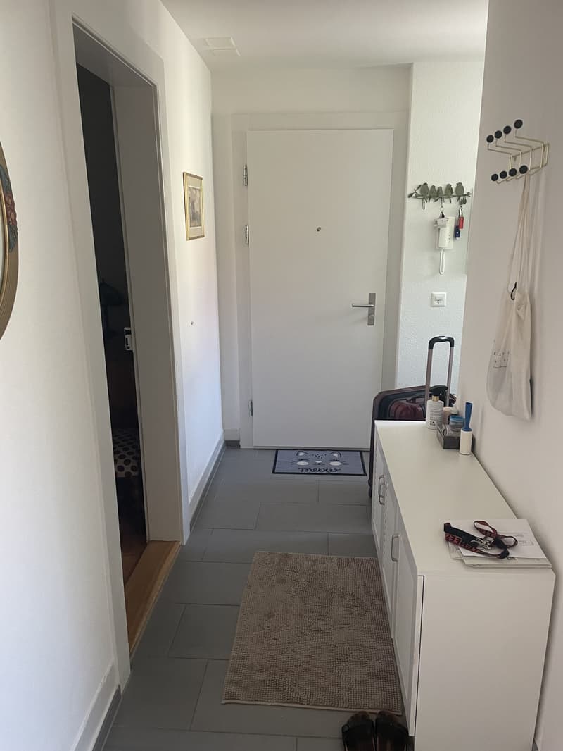 2 Bedroom Apartment (7)