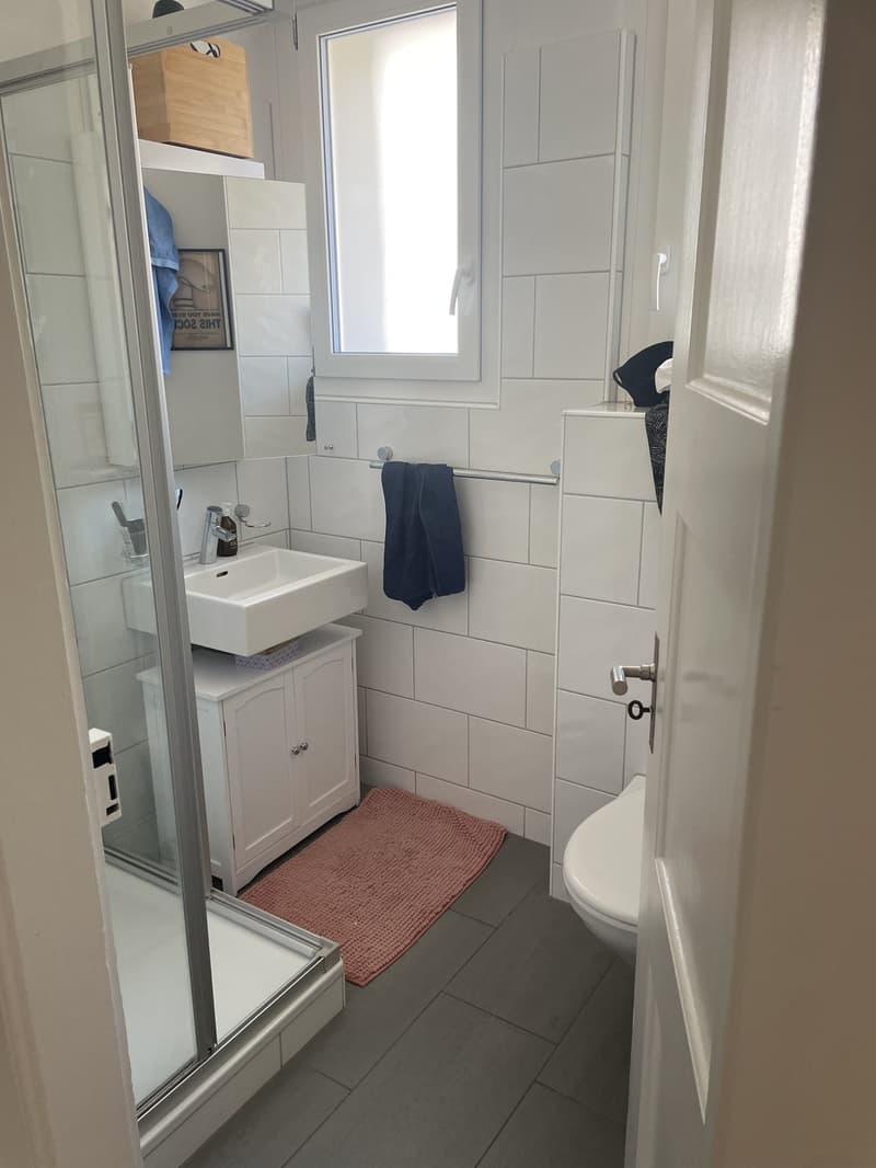 2 Bedroom Apartment (5)