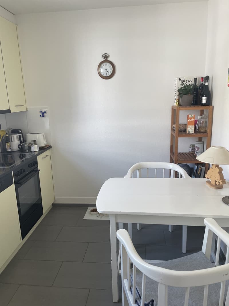 2 Bedroom Apartment (4)