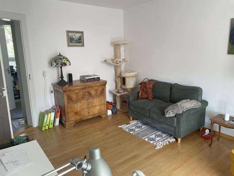 2 Bedroom Apartment (3)