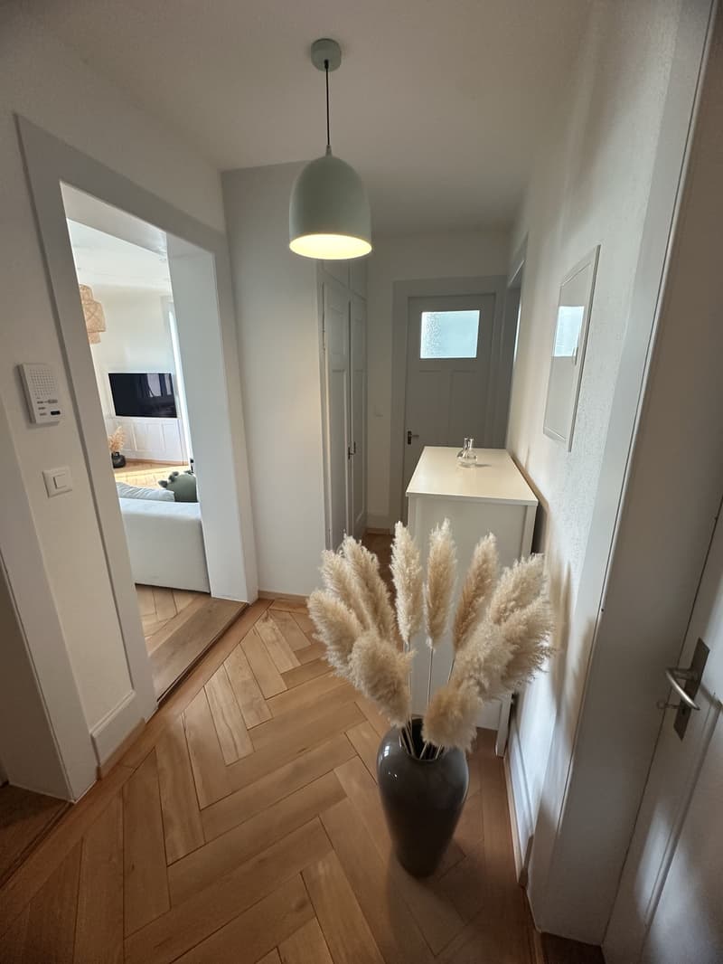 renovierte Altbauwohnung zu vermieten (5)