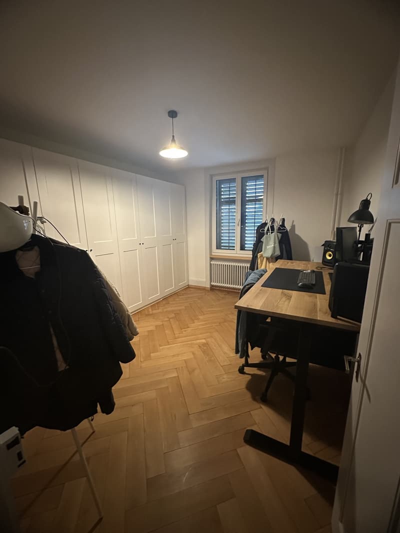 renovierte Altbauwohnung zu vermieten (1)