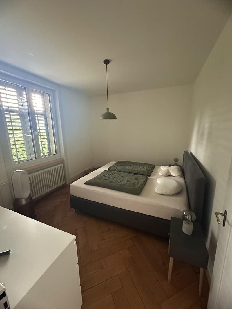 renovierte Altbauwohnung zu vermieten (2)