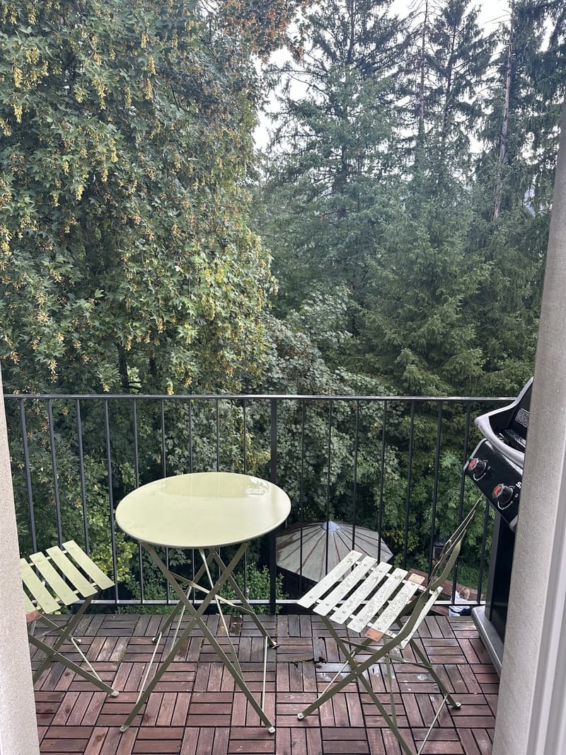 renovierte Altbauwohnung zu vermieten (10)