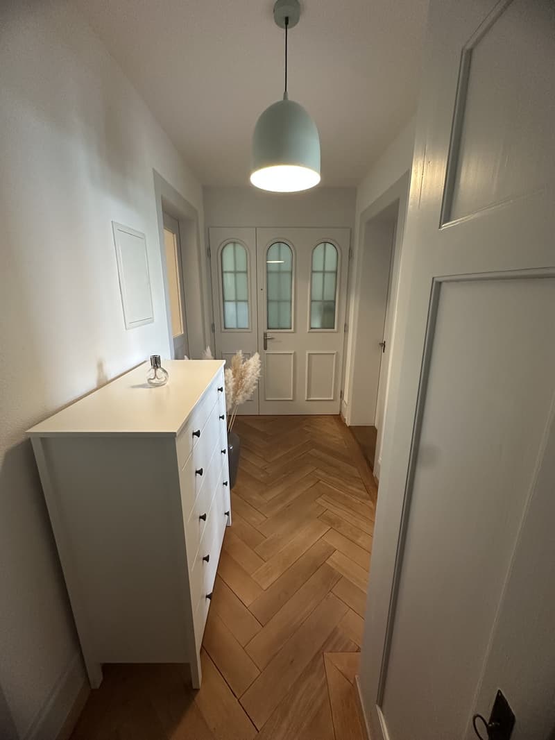 renovierte Altbauwohnung zu vermieten (3)