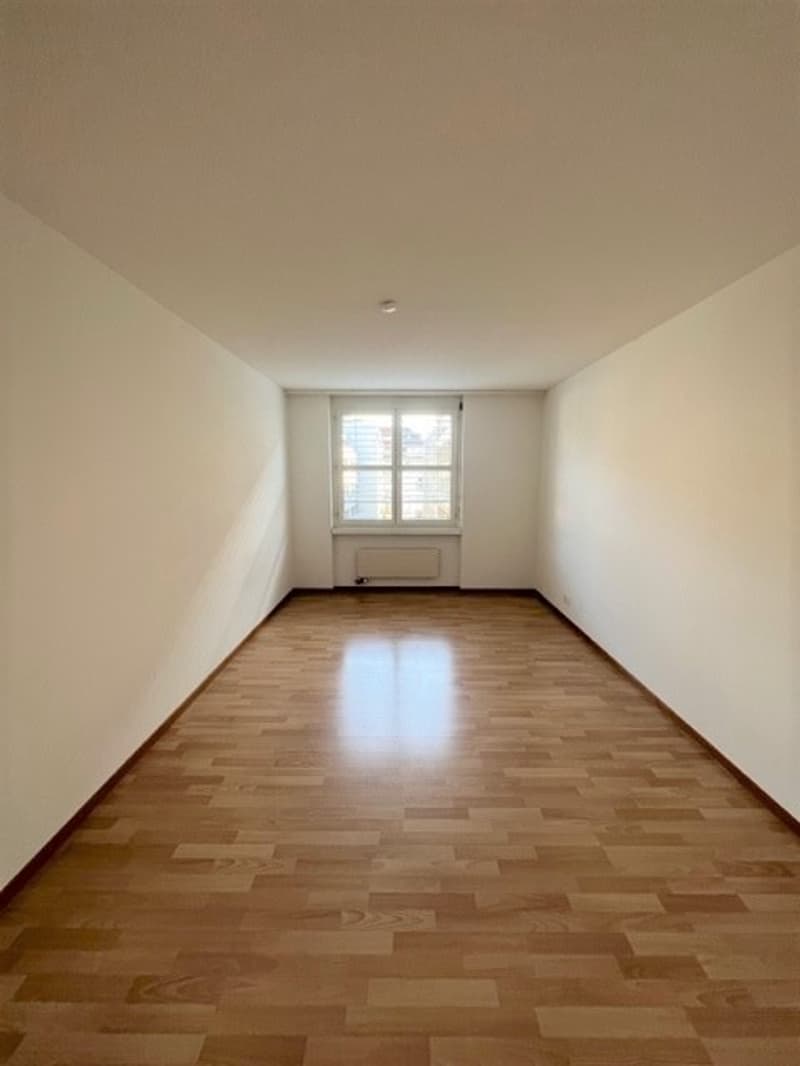 Bright Renovated 3.5-Room Apartment in Central Luzern  Available from 01.10.2026 (3)