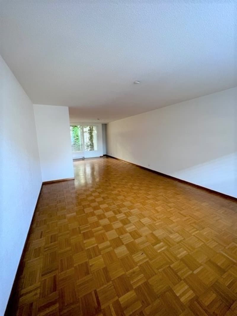 Bright Renovated 3.5-Room Apartment in Central Luzern  Available from 01.10.2026 (2)