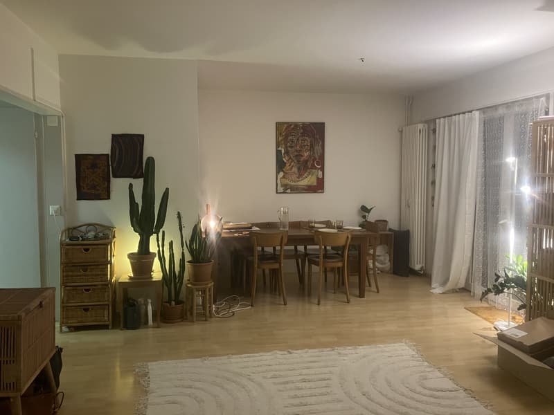 Apartment for 6-12 months for subletting (4)