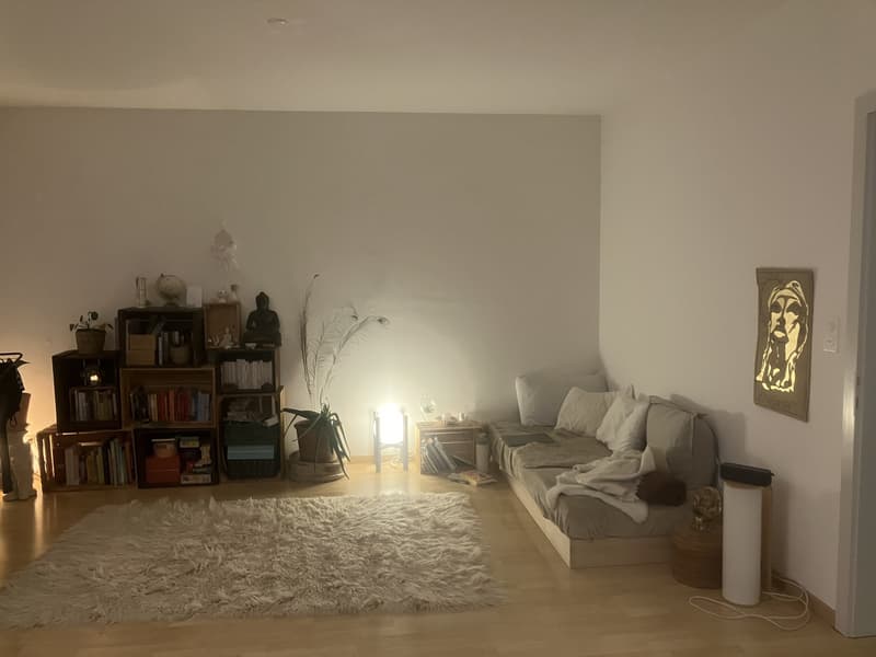 Apartment for 6-12 months for subletting (2)