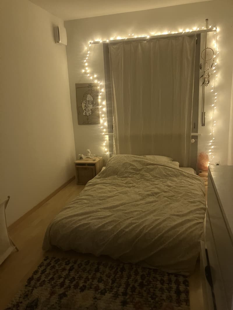 Apartment for 6-12 months for subletting (3)