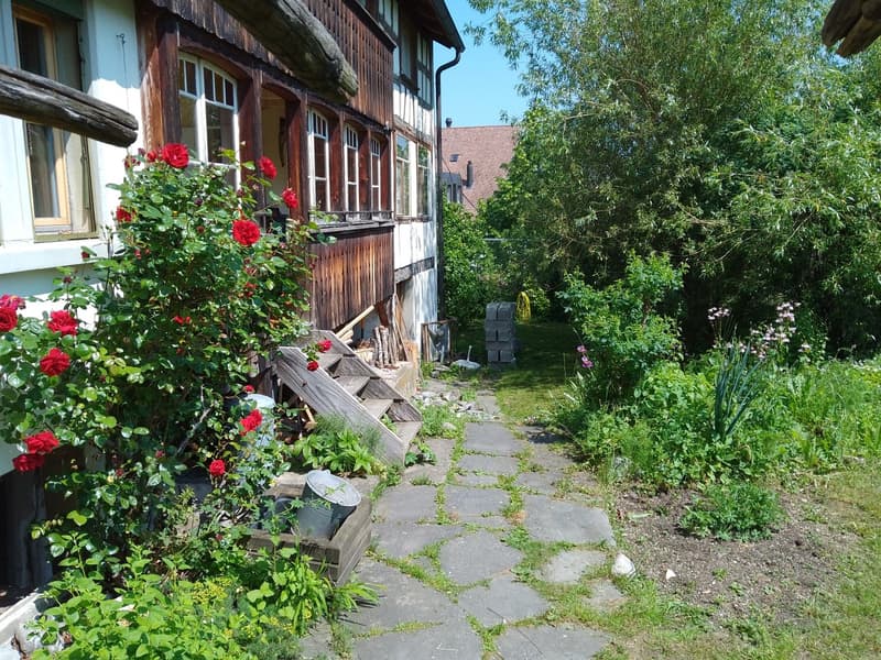 48 m2 pièce LILIA : 3 pièces en maisonnette - Riegelhaus Bubikon (11)