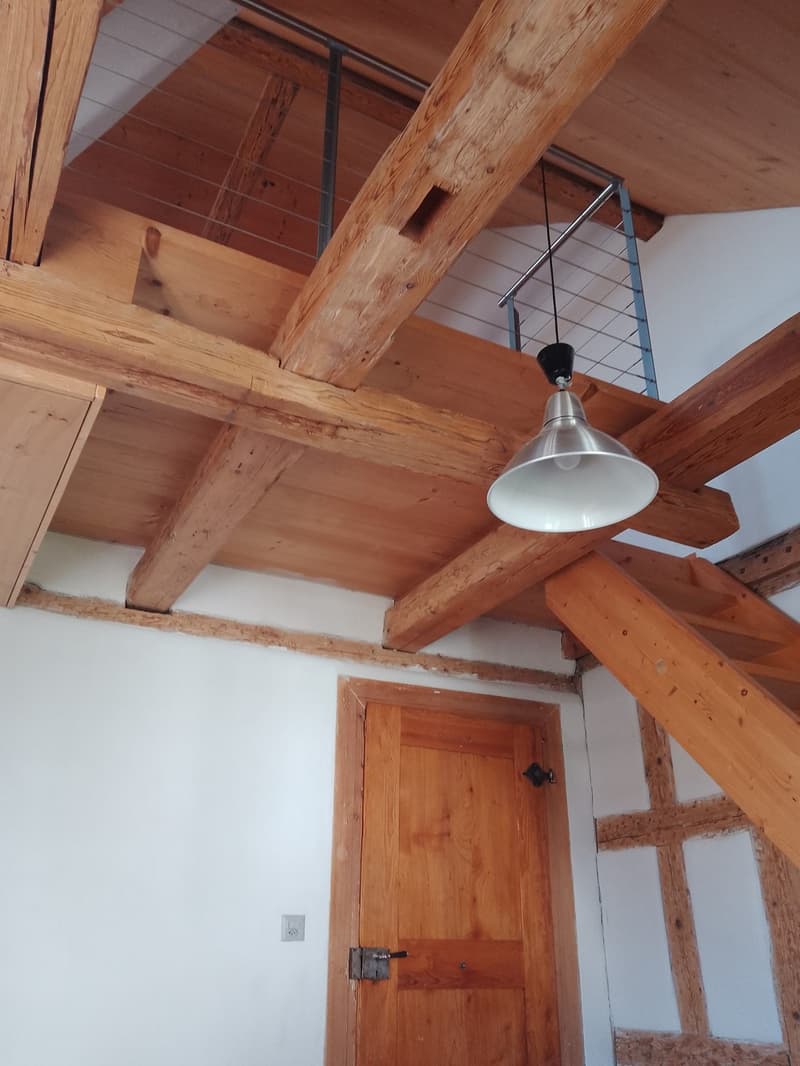 48 m2 pièce LILIA : 3 pièces en maisonnette - Riegelhaus Bubikon (3)