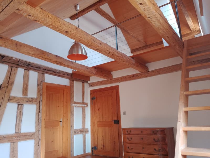 48 m2 pièce LILIA : 3 pièces en maisonnette - Riegelhaus Bubikon (6)