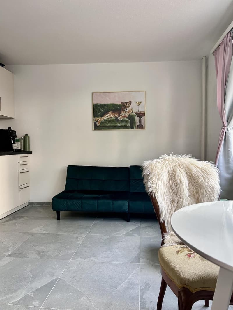 Lichtdurchflutete Single-Wohnung in Schaffhauser Innenstadt (2)
