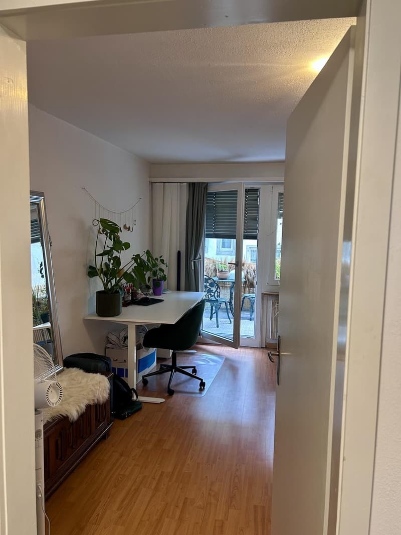 Lichtdurchflutete Single-Wohnung in Schaffhauser Innenstadt (6)