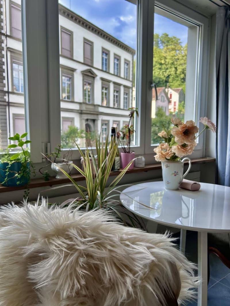 Lichtdurchflutete Single-Wohnung in Schaffhauser Innenstadt (1)