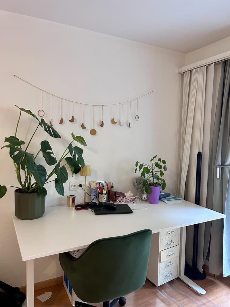 Lichtdurchflutete Single-Wohnung in Schaffhauser Innenstadt (13)