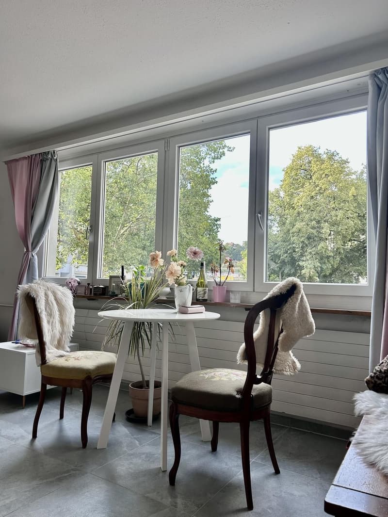 Lichtdurchflutete Single-Wohnung in Schaffhauser Innenstadt (9)