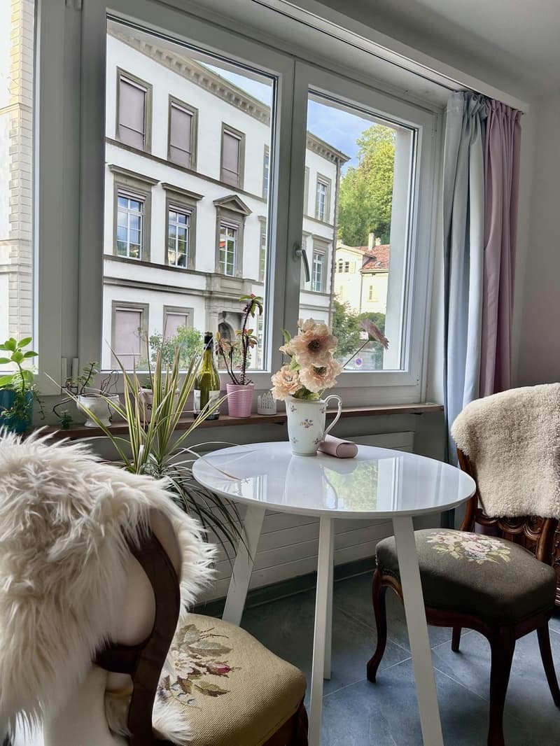 Lichtdurchflutete Single-Wohnung in Schaffhauser Innenstadt (7)