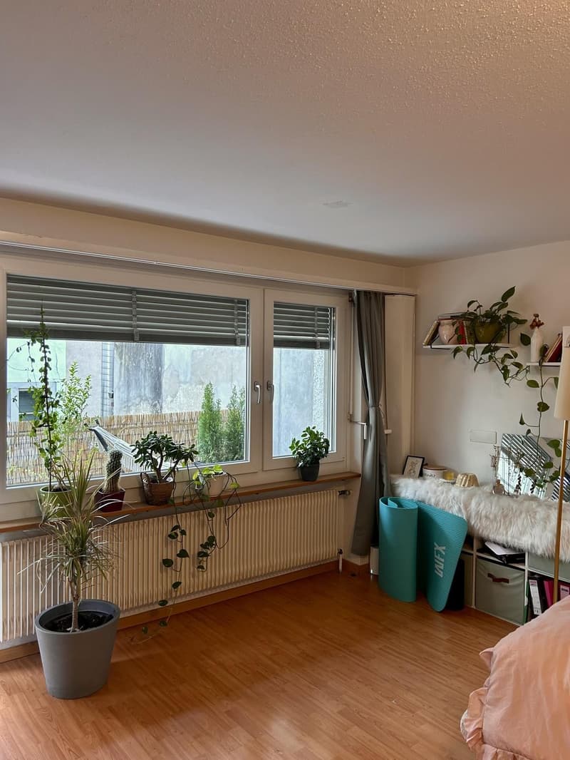 Lichtdurchflutete Single-Wohnung in Schaffhauser Innenstadt (12)