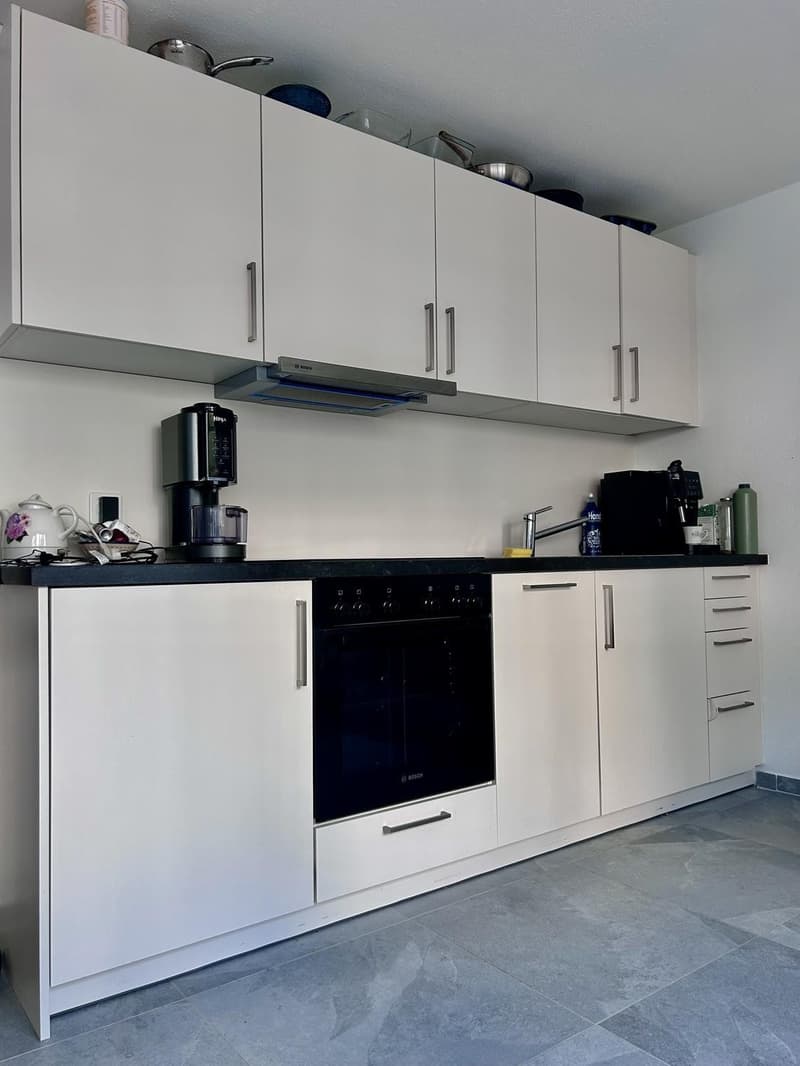 Lichtdurchflutete Single-Wohnung in Schaffhauser Innenstadt (10)