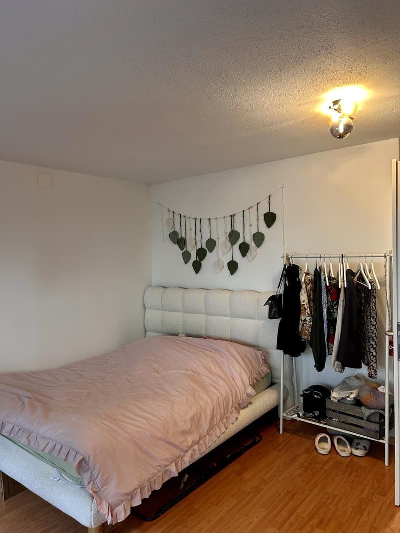 Lichtdurchflutete Single-Wohnung in Schaffhauser Innenstadt (3)