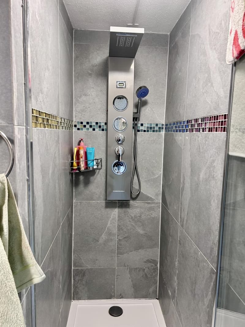 Lichtdurchflutete Single-Wohnung in Schaffhauser Innenstadt (4)