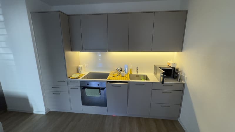 Nachnieter gesucht / Replacement tenant wanted for Zürich Oerlikon apartment (3)