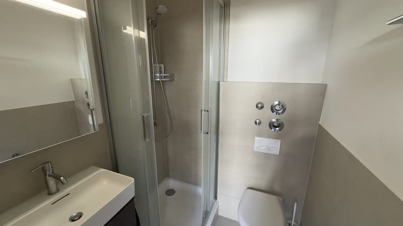 Nachnieter gesucht / Replacement tenant wanted for Zürich Oerlikon apartment (4)