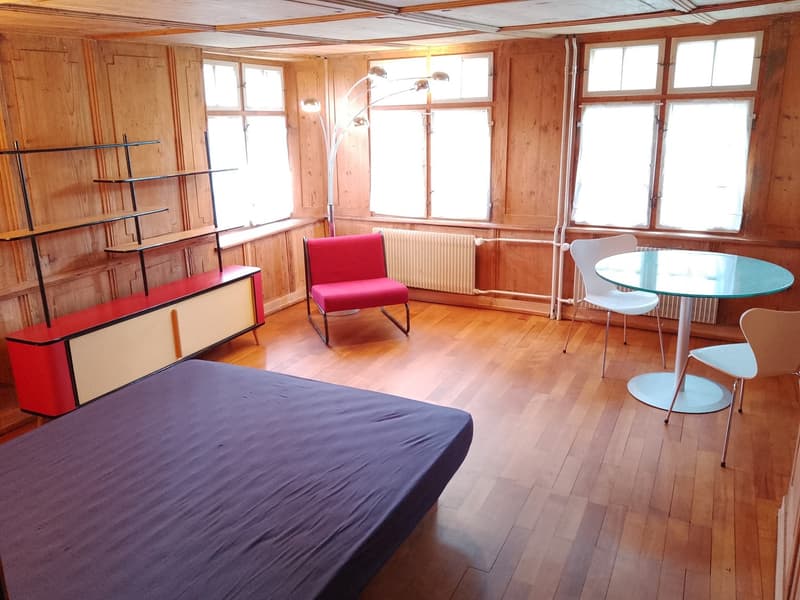 18,5 m2 de chambre meublée BUBIKON (3)