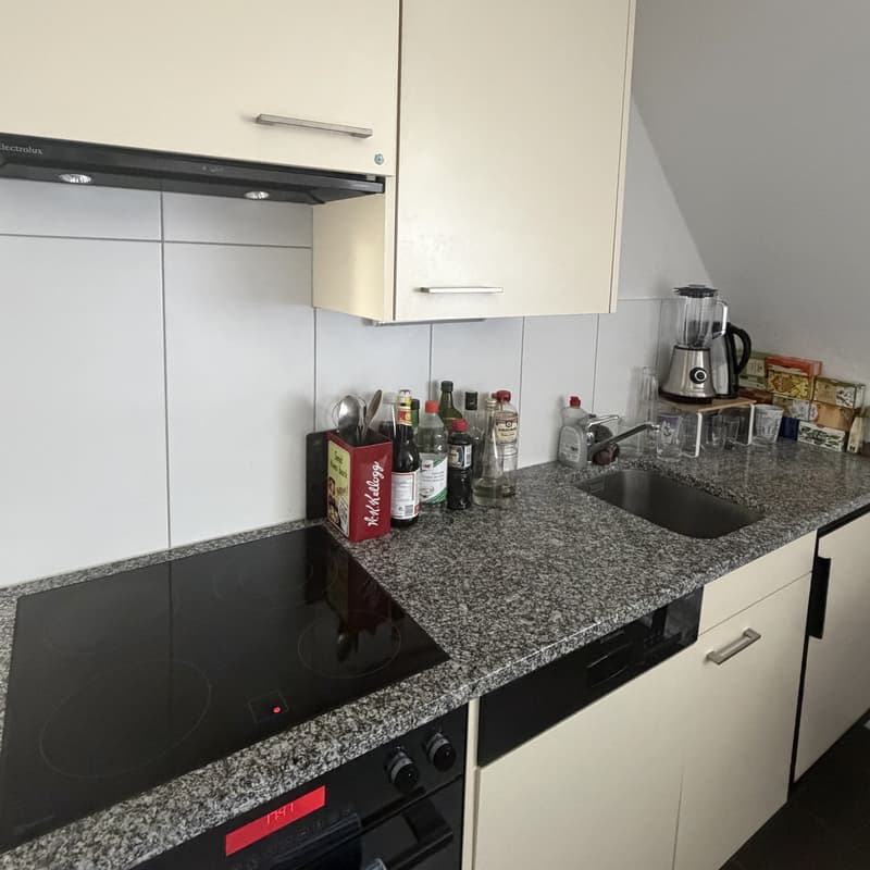 Studio 1 pièce confortable avec cuisine ouverte (2)