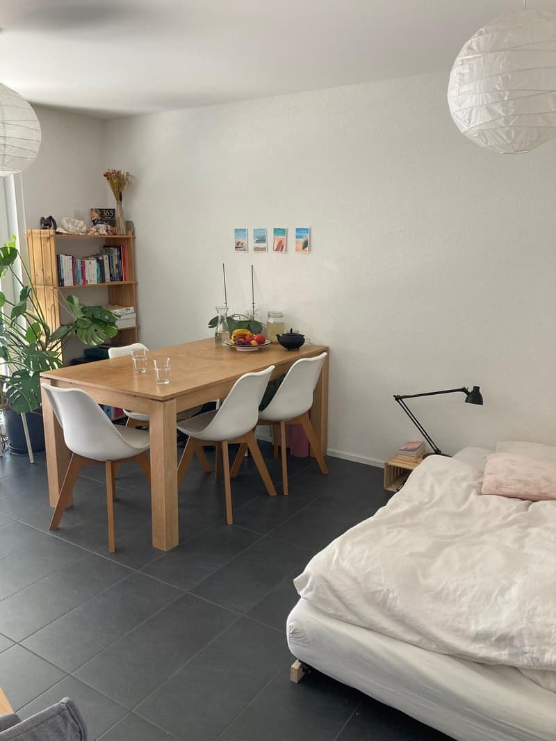 Appartement à louer à Chatel-st-Denis (1)