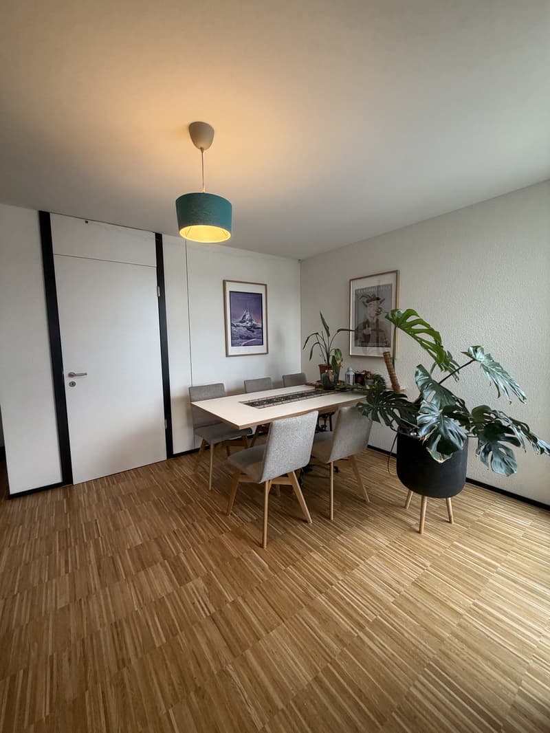 Bright Room with Direct Balcony Access in a High-Quality New-Build Apartment  Dübendorf (5)
