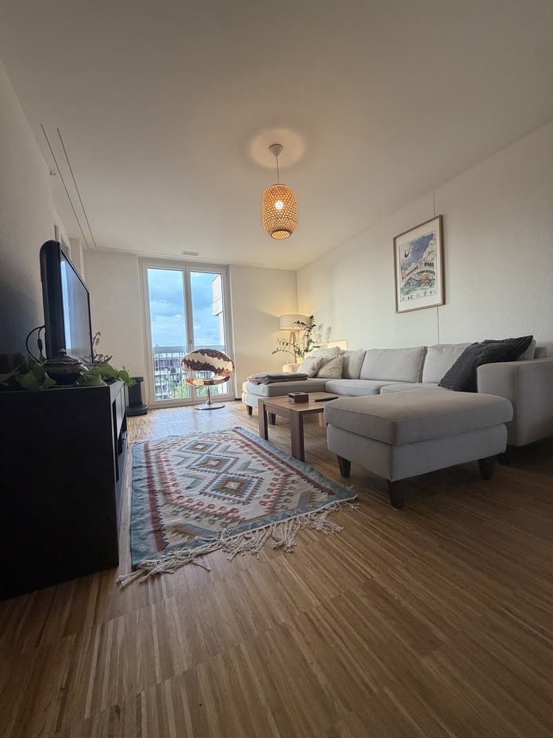 Bright Room with Direct Balcony Access in a High-Quality New-Build Apartment  Dübendorf (4)