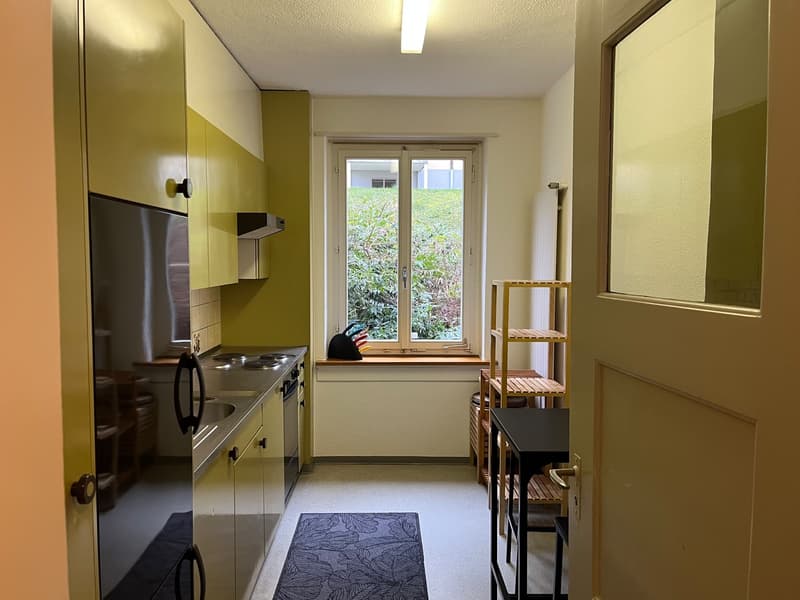 Appartement cozy & ensoleillé de 3 pièces à Wipkingen, Zurich (sept 2026 - sept 2027) (4)