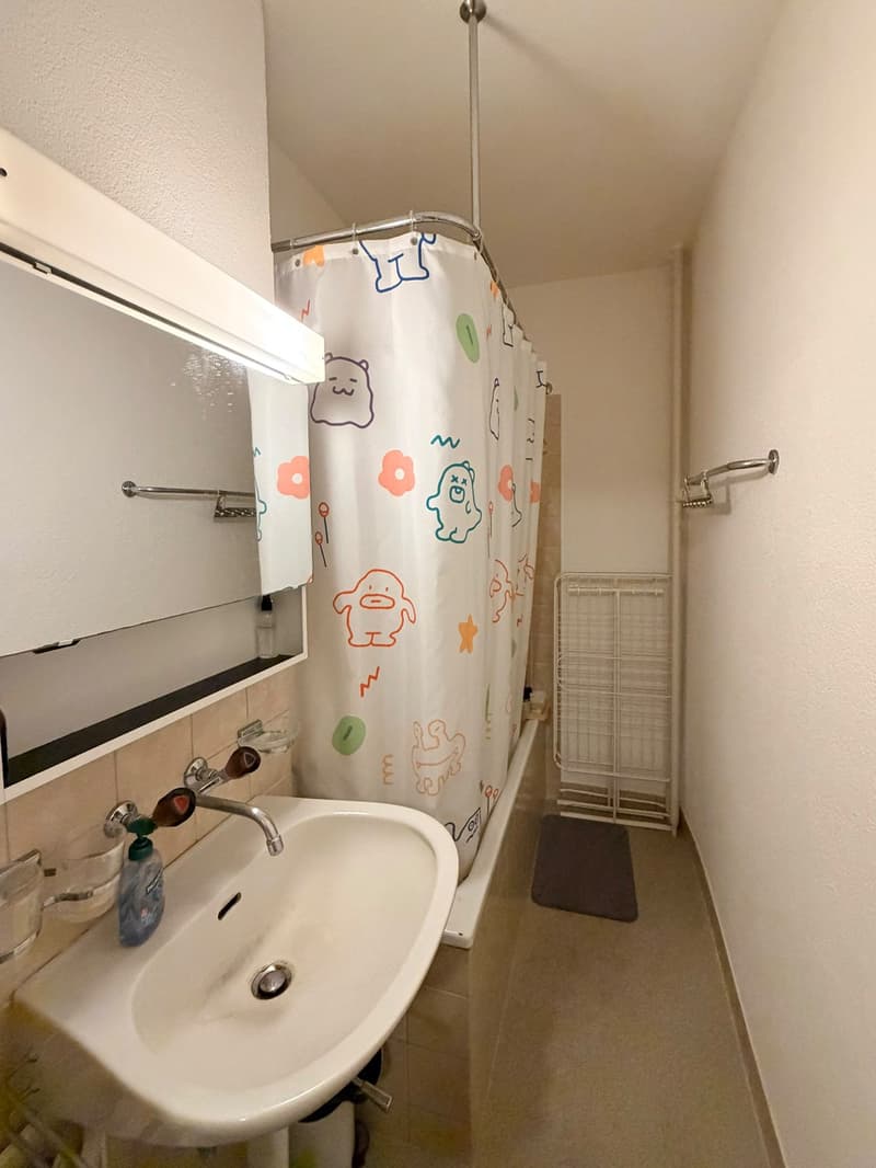 Appartement cozy & ensoleillé de 3 pièces à Wipkingen, Zurich (sept 2026 - sept 2027) (5)