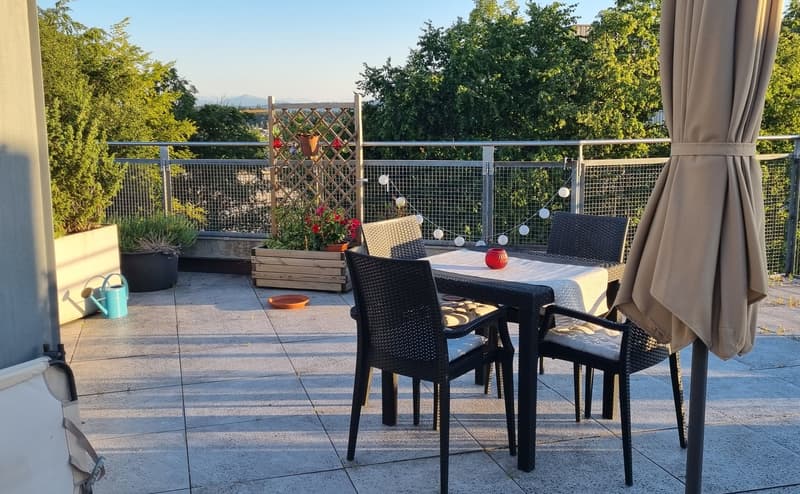 2.5 Room Apartment (2)