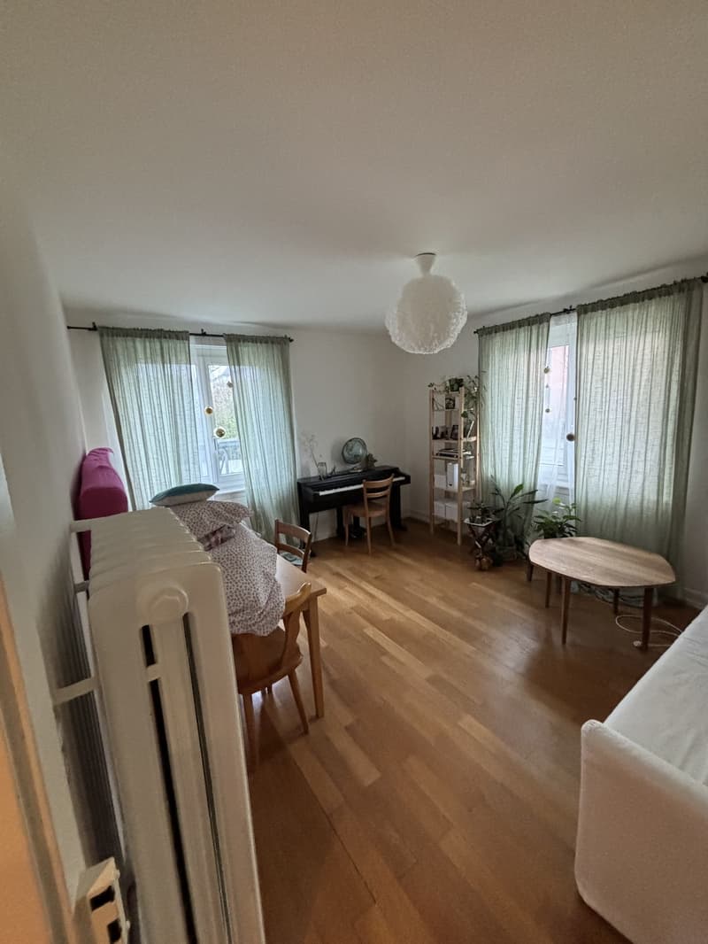 Room for rent in beautiful apartment with garden (3)