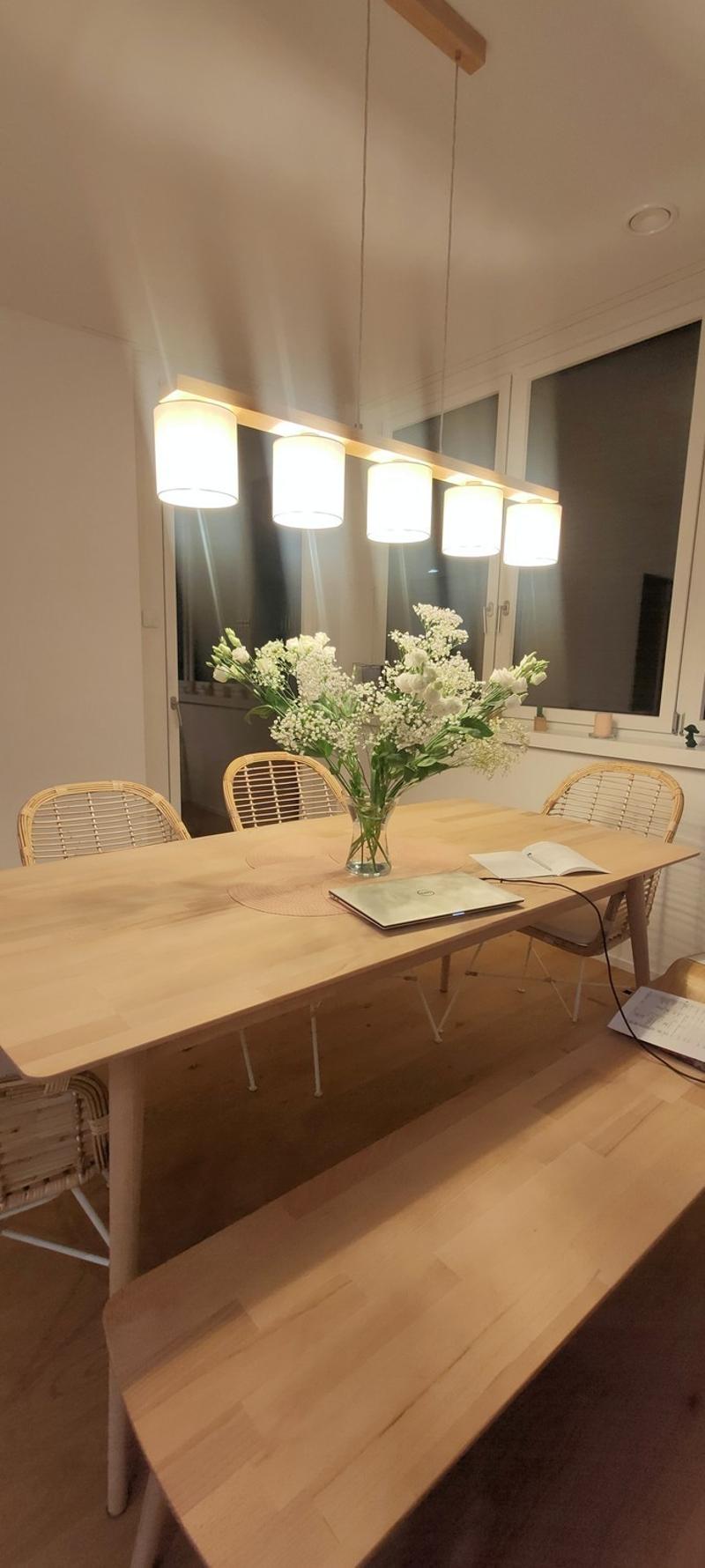 3.5 Großzügige, moderne & helle Wohnung mit Garten - nur 5 Minuten vom Bahnhof Baden! (4)