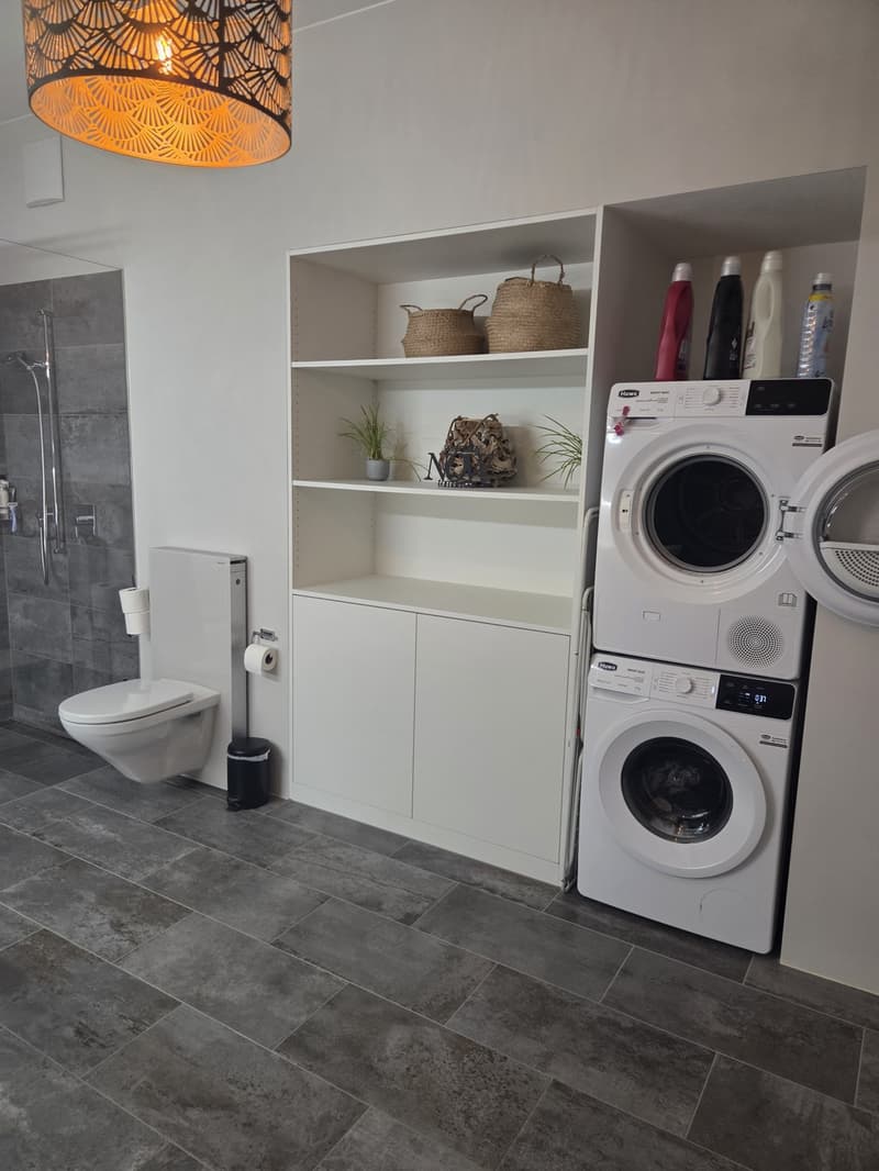 Furnished 3.5-room apartment with garden in central location in Lenzburg - temporarily sublet (5)