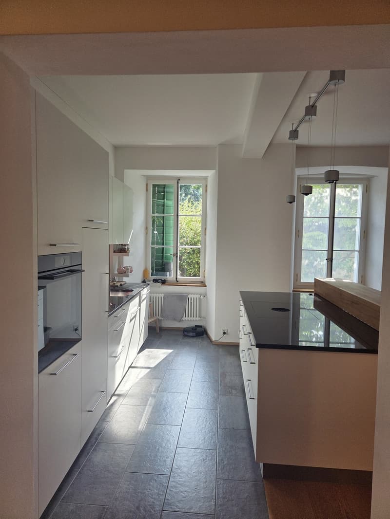 Furnished 3.5-room apartment with garden in central location in Lenzburg - temporarily sublet (4)