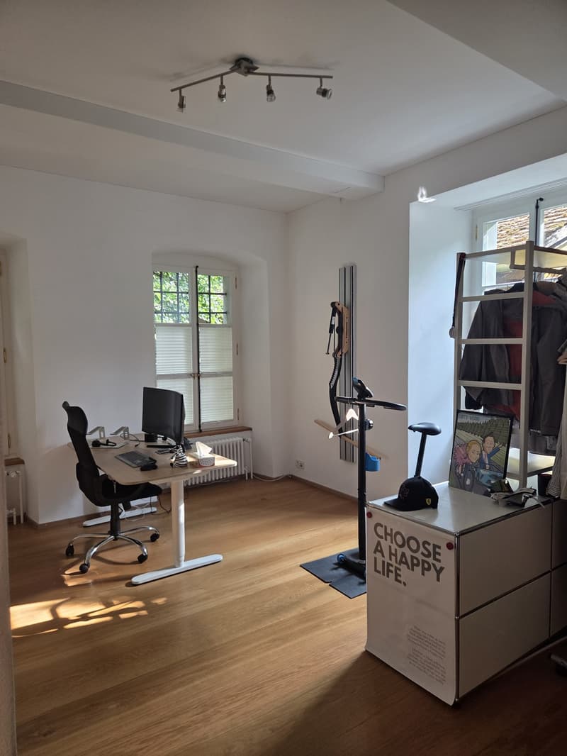 Furnished 3.5-room apartment with garden in central location in Lenzburg - temporarily sublet (9)