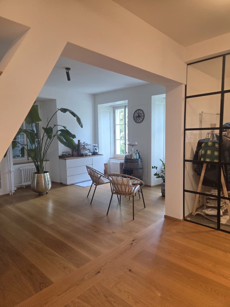 Furnished 3.5-room apartment with garden in central location in Lenzburg - temporarily sublet (3)