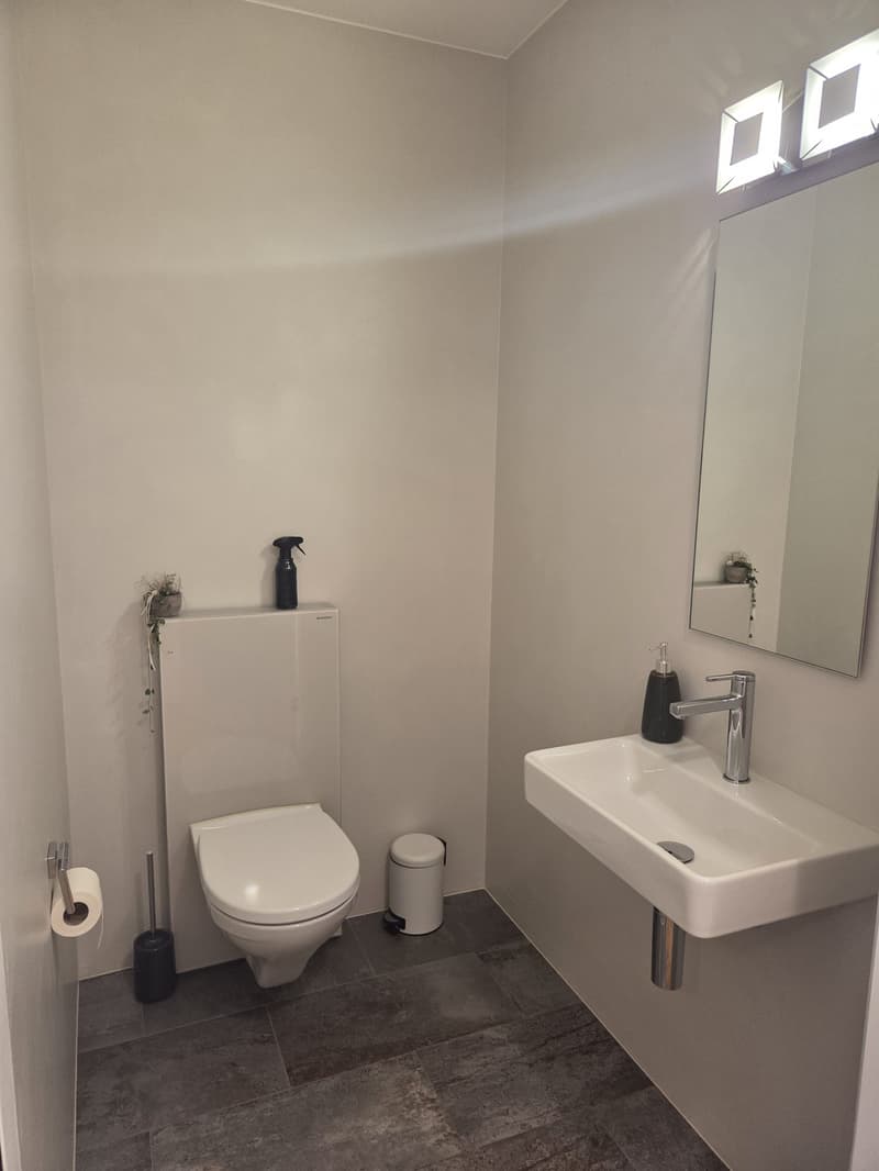 Furnished 3.5-room apartment with garden in central location in Lenzburg - temporarily sublet (7)