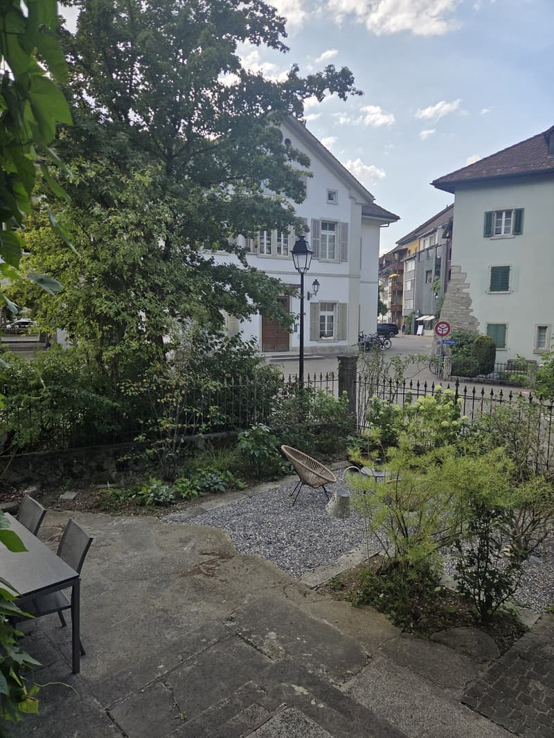 Furnished 3.5-room apartment with garden in central location in Lenzburg - temporarily sublet (10)